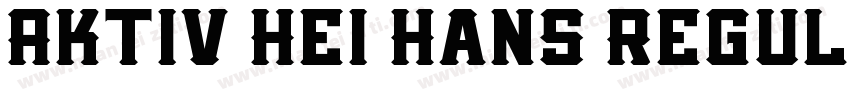 Aktiv Hei Hans Regul字体转换